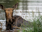 I see you staring at me