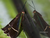 Mirror mirror on the Wall..