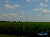 Pastoral scenery along Casey Road in Thurlow Ward Ont.