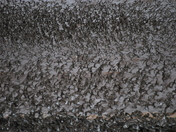 Dance of the sandpiper