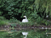 Reflecting on the day