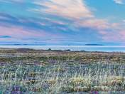 Coastal morning colors