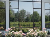 Reflection of the Welland Canal