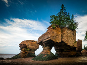Hopewell Rocks