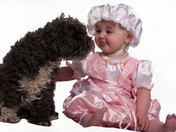 Gizmo found a Friend