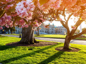 Victoria Legislature Building