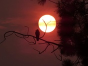 Smokey morning in Cranbrook, Bc