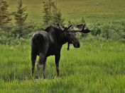 Riding Mountain National Park