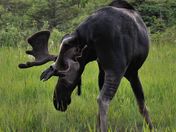 Riding Mountain National Park