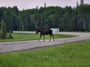 Riding Mountain National Park