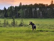 Riding Mountain National Park