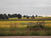 Ontario Farmland