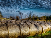 Late afternoon on the mountain