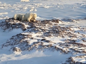 Churchill, Manitoba