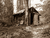 Little Cabin on the Lake