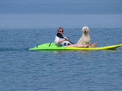 Put Your Back Into It.