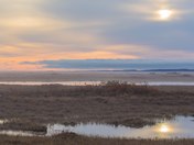 Fall Sunrise on the Tundra