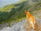 Pedro of the Mtn Ridge