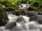 Chilliwack River Views