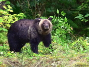 He Is Finding Us Interesting