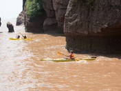 Kayaking at Hopewell Rocks