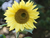 end of spring in edmonton