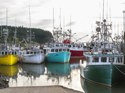 Fishing Boats