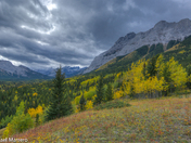 Kananaskis Valley - Autumn 