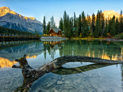 Bridge to the Nature