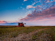 Harvest Time on the Prairies