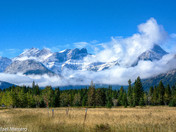 Early Morning Mist in Kananaskis 