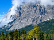 Early Morning Mist in Kananaskis 