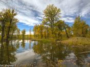 Autumn at Fish Creek Provincial Park 
