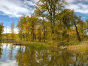 Autumn at Fish Creek Provincial Park 