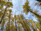 Autumn at Fish Creek Provincial Park 