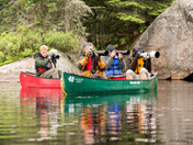 Paparazzi in the Park