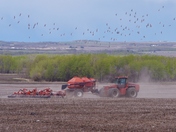 Spring time in Alberta