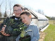 Two boys planting two tomatos