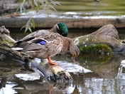 I can see my face in the Water!