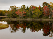 Autumn Reflection