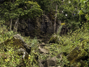 Bruce Trail - Burlington, Ontario