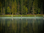Fern Gulley Wildlife Refuge