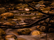 Fern Gulley Wildlife Refuge