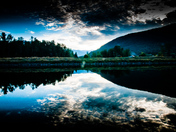 Fern Gulley Wildlife Refuge