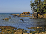 Juan de Fuca Marine Trail