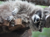 Hard day at the office