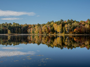 Muskoka Reflection
