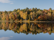 Autumn Reflection in Muskoka 1