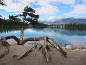 Jasper National Park
