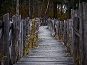 Boardwalk